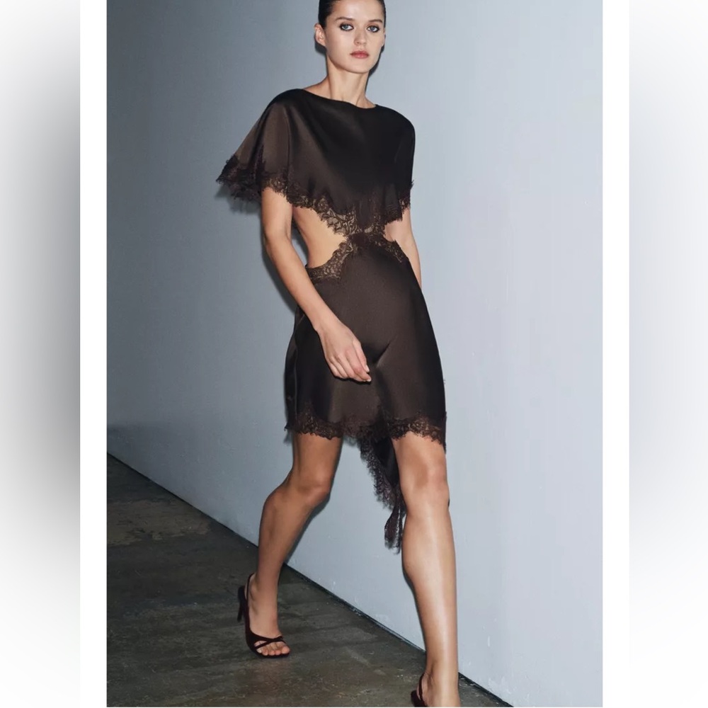 Zara LACE CUT-OUT DRESS ZW COLLECTION BROWN LARGE - Picture 5 of 9
